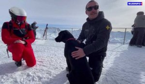 Salto, un chien d’avalanche chargé de retrouver des personnes ensevelies sous la neige