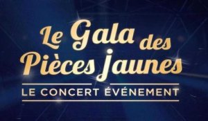 Le gala des Pièces jaunes : le concert événement