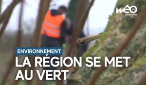 "Les planteurs volontaires" reboisent les Hauts-de-France
