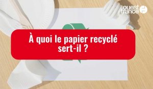 VIDÉO. À quoi le papier recyclé sert-il et comment en faire chez soi ? 