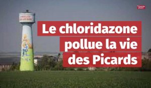 Le chloridazone pollue la vie des Picards 
