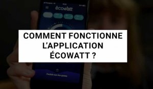 Ecowatt : les conseils d'un responsable de RTE sur l'application