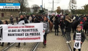 VIDÉO. Les centres équestres et leurs poneys manifestent à Nantes 