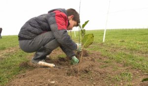 Bray-sur-Somme : Des écoliers au chevet des terres agricoles