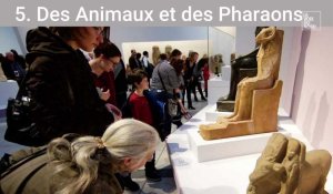Le Louvre-Lens a 10 ans : les 20 expos temporaires qui ont marqué les visiteurs