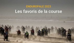 Enduropale 2023 : les favoris de la course