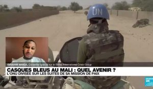 Casques Bleus au Mali : quel avenir ?