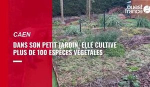 Caen. Dans un petit écrin de verdure, Elizabeth Crowell cultive plus de 100 espèces végétales