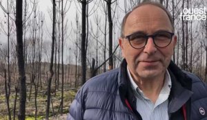 VIDÉO. Comment cet exploitant forestier en Anjou va reboiser ses parcelles après l'incendie