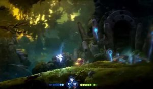 Ori and the will of the wisps : sanctuaire spirituel n°2