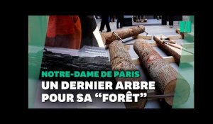 Notre-Dame de Paris : la reconstruction de la forêt passe une étape clé