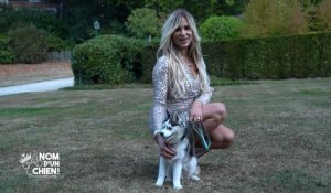 L'émission "Nom d'un chien" arrive sur RTL-TVI : découvrez McQueen en exclusivité 