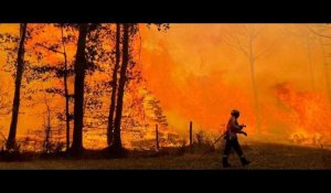 VIDÉO. Grands incendies de l'été en Maine-et-Loire : le combat héroïque des pompiers en combat