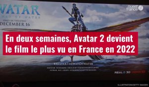 VIDÉO. En deux semaines, Avatar 2 devient le film le plus vu en France en 2022