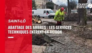 VIDÉO. Réaménagement du centre-ville de Saint-Lô : l'abattage des arbres a commencé