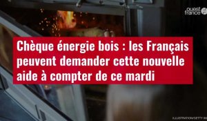 VIDÉO. Chèque énergie bois : les Français peuvent demander cette nouvelle aide à compter de ce mardi