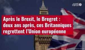 VIDÉO. Après le Brexit, le Bregret : deux ans après, ces Britanniques regrettent l’Union européenne