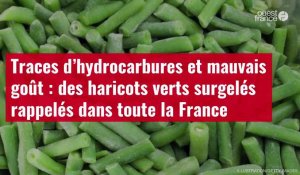 VIDÉO. Traces d’hydrocarbures et mauvais goût : des haricots verts surgelés rappelés dans toute la France