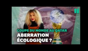 Coupe du monde au Qatar: une aberration écologique ?