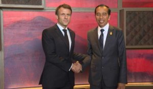 Le président français Macron rencontre le président indonésien Widodo au sommet du G20 à Bali