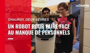 VIDEO. Pénurie de main d'œuvre : un robot fait le service dans un restaurant près de Niort