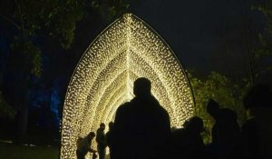À Brooklyn, le jardin botanique ouvre la saison des fêtes avec des œuvres d'art lumineuses