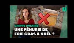 Le foie gras de Noël menacé par la grippe aviaire