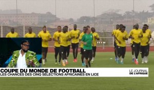 Focus sur les sélections africaines en lice pour la coupe du monde 2022