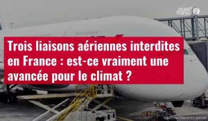 VIDÉO. Trois liaisons aériennes interdites en France : est-ce vraiment une avancée pour le climat ?