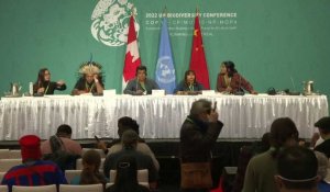 COP sur la protection de la biodiversité :  le combat des peuples indigènes contre la déforestation