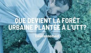 Que devient la forêt urbaine plantée à l’UTT?