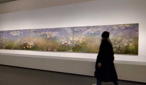 Une minute au cœur de l'exposition Monet-Mitchell à Paris : un vrai bain de couleurs !