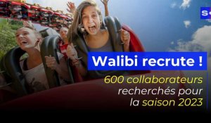 Walibi à la recherche de 600 saisonniers et étudiants pour 2023