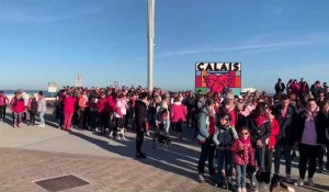 Calais : 300 personnes ont marché pour Octobre rose