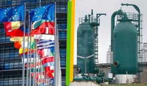 Energie : les 27 d'accords pour des achats de gaz groupés