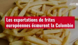 VIDÉO. Les exportations de frites européennes écœurent la Colombie