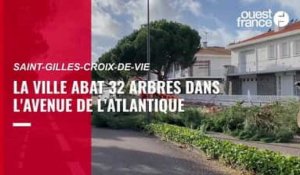 VIDÉO. La Ville de Saint-Gilles-Croix-de-Vie coupe 32 arbres dans une rue, des riverains réagissent 