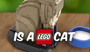 Lego Cat