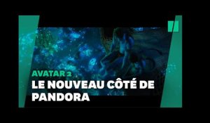 Un trailer impressionnant pour « Avatar 2 », entre action et contemplation