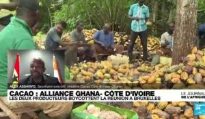 Côte d'Ivoire - Ghana : les deux pays producteurs de cacao boycottent la réunion à Bruxelles