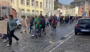 Fridays for Future in Eupen