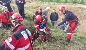 Le sauvetage d'un chien de chasseur tombé dans un puits d’une quinzaine de mètres