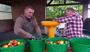 Saint-Waast-la-Vallée : la fabrication du jus de pomme s'est fait dans la cour de l'école