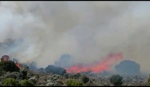 Tanzanie: mobilisation pour contenir un incendie sur le Kilimandjaro