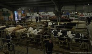 Au Cateau-Cambrésis, le dernier marché aux bestiaux des Hauts-de-France