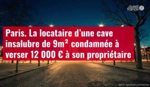 VIDÉO. Paris. La locataire d’une cave insalubre de 9m² condamnée à verser 12 000 € à son propriétaire