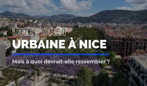 On vous dit tout sur le projet de forêt urbaine à Nice