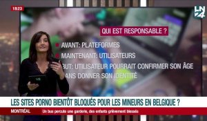 Les sites pornos bientôt bloqués pour les mineurs en Belgique ?