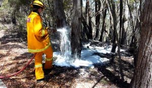 Australie: les pompiers progressent petit à petit face aux feux