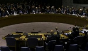 Syrie/armes: le Conseil de sécurité adopte une résolution